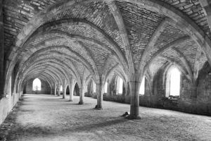 fountains abbey jan 2012 5 sm.jpg